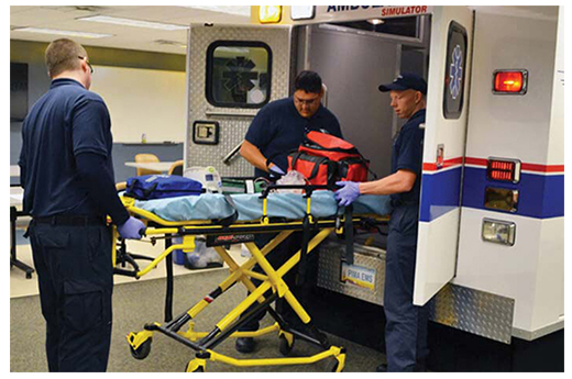 สายจูงสุนัข OEM