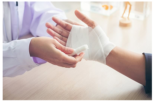 สายจูงสุนัข OEM