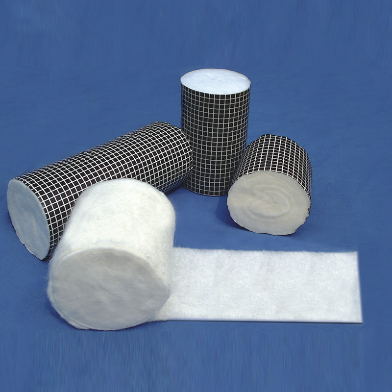 แผ่นกระดูกและข้อ