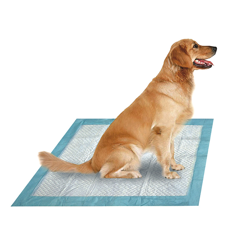 แผ่นสัตว์เลี้ยง