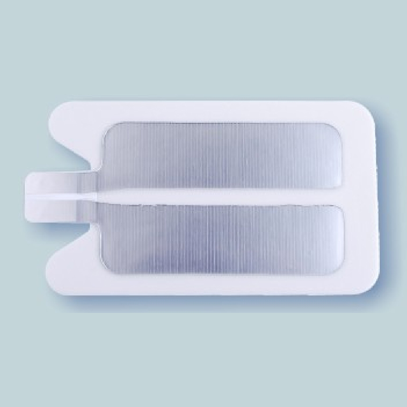 แผ่นดิน