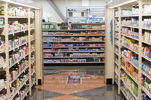 สายจูงสุนัข OEM